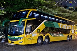 Gontijo-25030-1-1